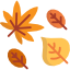 fall